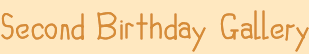 Second Birthday Gallery
