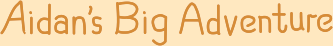 Aidan&rsquo;s Big Adventure
