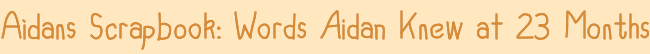 Aidan’s Scrapbook: Words Aidan Knew at 23½ Months